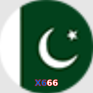 X666